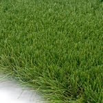 Modelo Barcelona 40mm